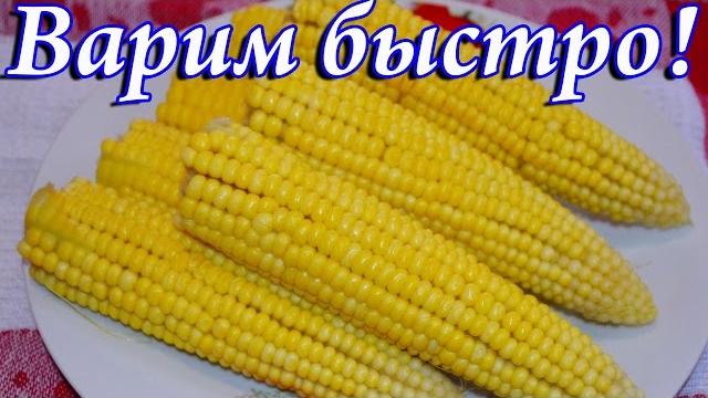 Как варить кукурузу. Сколько варить кукурузу Как варить кукурузу. Сколько варить кукурузу