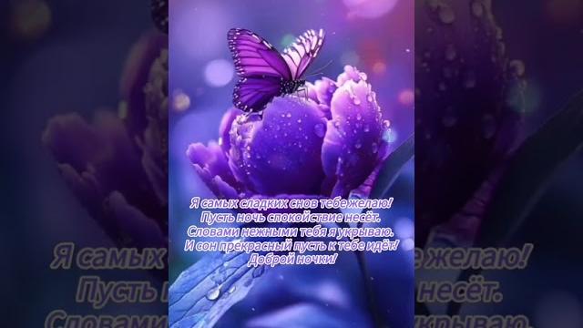 Добрый вечер хорошего вечера открытки на каждый день #открытка #добрый #видеооткрытка #добрыйвечер Добрый вечер хорошего вечера открытки на каждый день #открытка #добрый #видеооткрытка #добрыйвечер