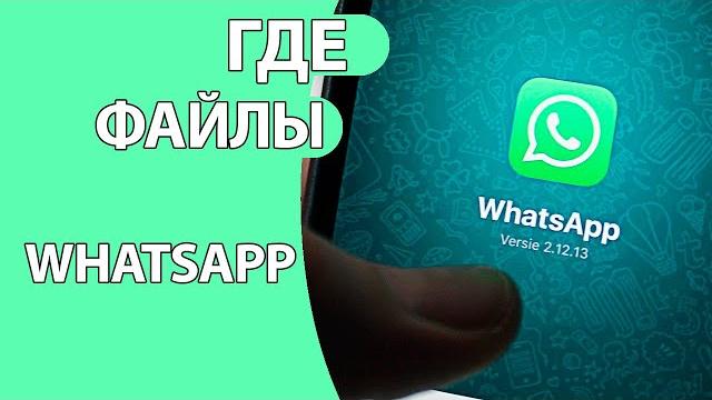 Где Хранятся Файлы Ватсапа на Андроид Телефоне Где Хранятся Файлы Ватсапа на Андроид Телефоне