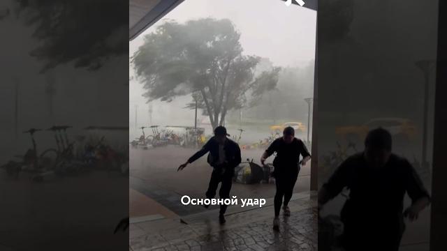 Ураган в Москве: дерево прилетело в квартиру Ураган в Москве: дерево прилетело в квартиру
