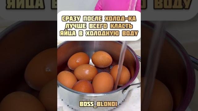 В какой воде варить яйца В какой воде варить яйца