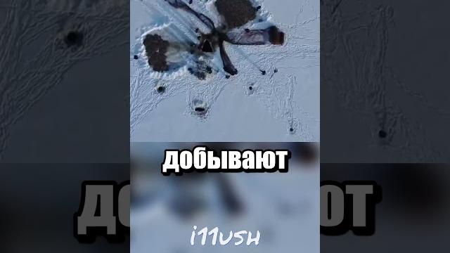 Зимняя рыбалка в Якутии Зимняя рыбалка в Якутии