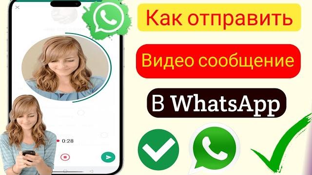 Видео в кружочке в Ватсапе не работает, как сделать кружочки в Ватсап и отправить видео сообщение Видео в кружочке в Ватсапе не работает, как сделать кружочки в Ватсап и отправить видео сообщение