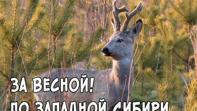 За Весной! По Западной Сибири. За Весной! По Западной Сибири.
