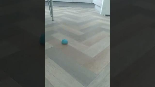 27 ноября 2022 г. 27 ноября 2022 г.