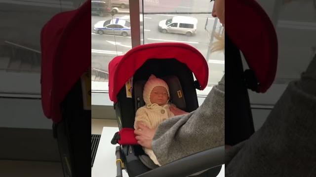 выписка из роддома на температуру +10 +16 выписка из роддома на температуру +10 +16