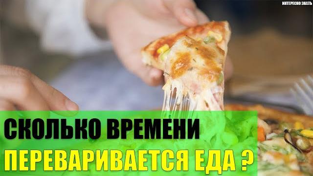 Сколько времени переваривается съеденная еда? Сколько времени переваривается съеденная еда?