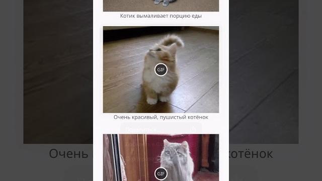 Как отправить gif по Почте на iPhone Как отправить gif по Почте на iPhone