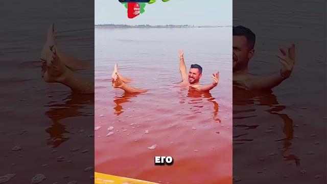 Почему Красное море назвали красным Почему Красное море назвали красным