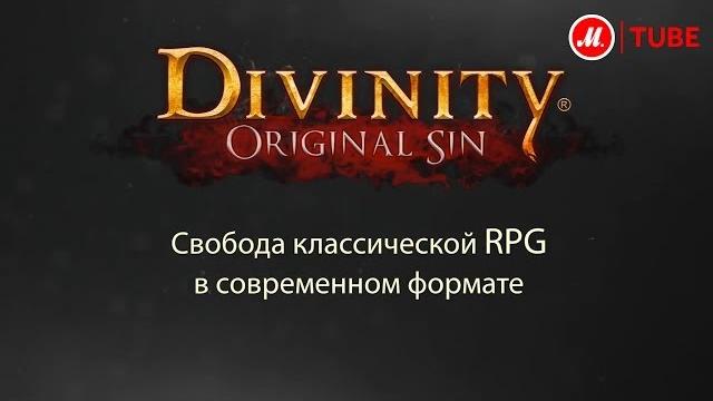 Компьютерная игра Divinity: Original Sin Компьютерная игра Divinity: Original Sin