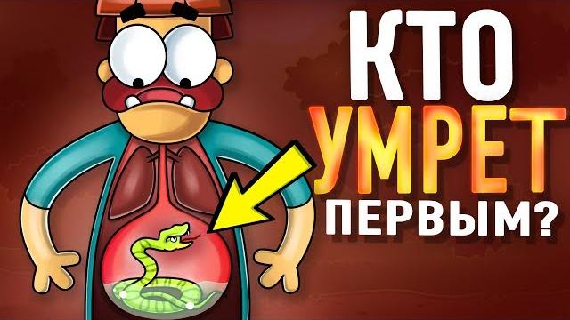 Что Если Проглотить Самую Ядовитую Змею ? Что Если Проглотить Самую Ядовитую Змею ?