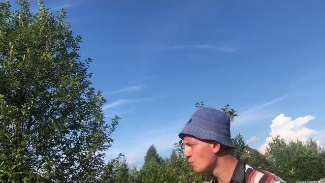 Дачные Вопросы с Игорем Огородовым Дачные Вопросы с Игорем Огородовым
