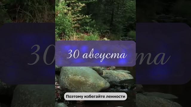 30 августа. Волшебная среда 30 августа. Волшебная среда