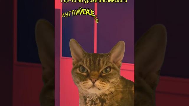 Где-то на уроке английского языка #мем #котики #рек #shorts Где-то на уроке английского языка #мем #котики #рек #shorts
