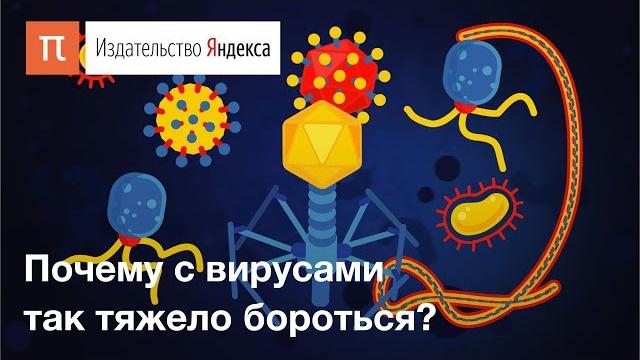 Вирусы: виды, устройство и способы заражения клетки Вирусы: виды, устройство и способы заражения клетки
