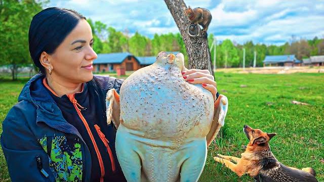 НАЧАЛОСЬ. Освоение нового хутора. О чём "думал" индюк и куда смотрят гуси? Каждый получит своё... НАЧАЛОСЬ. Освоение нового хутора. О чём "думал" индюк и куда смотрят гуси? Каждый получит своё...