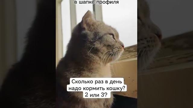 23 пишется слитно! 23 пишется слитно!