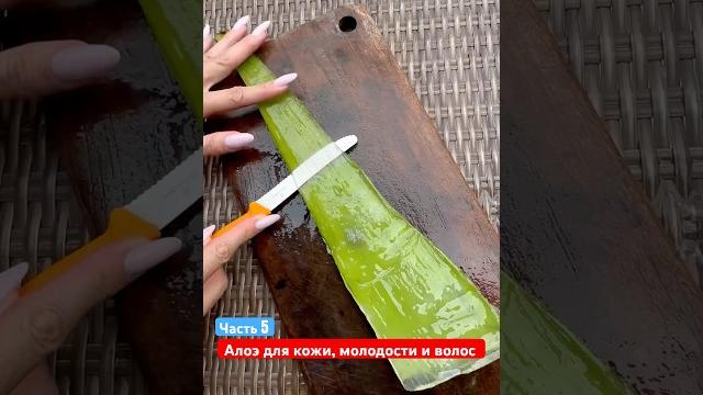 Алоэ для кожи и волос Алоэ для кожи и волос