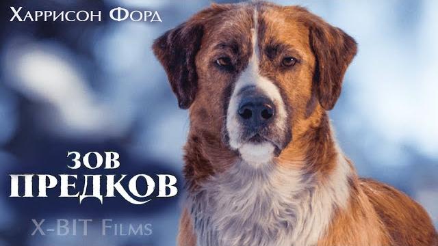 Фильм про собаку Зов предков (2020) Фильм про собаку Зов предков (2020)