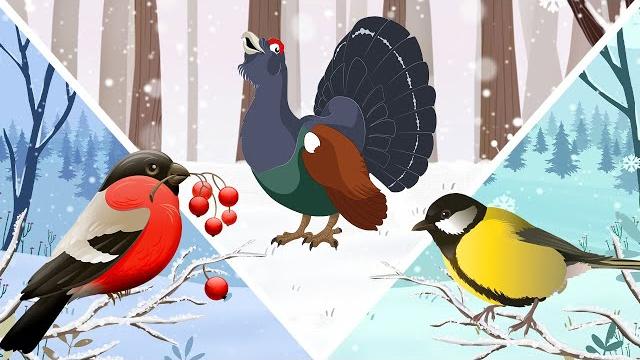 ЗИМУЮЩИЕ ПТИЦЫ для детей | Изучаем зимующих птиц ЗИМУЮЩИЕ ПТИЦЫ для детей | Изучаем зимующих птиц