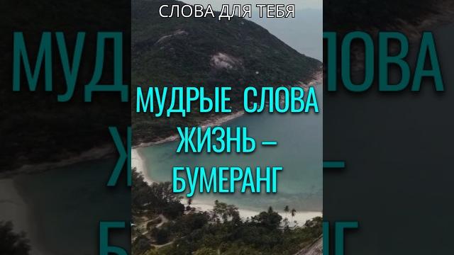 Мудрые Слова | Жизнь – Бумеранг... | Мудрые Мысли #цитаты #мудрость #жизнь #вдохновение #стихи Мудрые Слова | Жизнь – Бумеранг... | Мудрые Мысли #цитаты #мудрость #жизнь #вдохновение #стихи