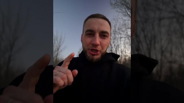 Как вывести постельных клопов? Как вывести постельных клопов?