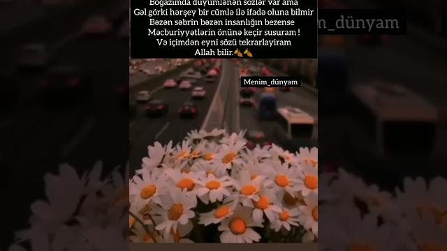 qemli videolar menali statuslar qemli videolar menali statuslar