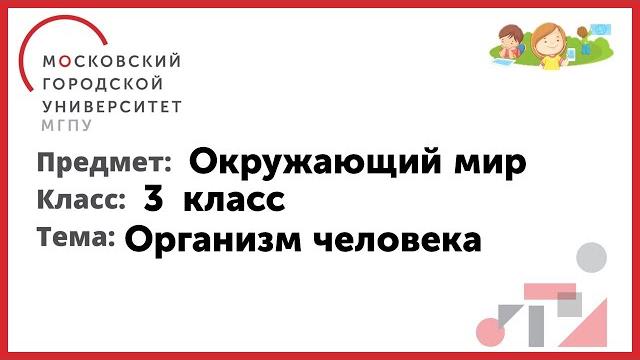 3 класс. Окружающий мир. Организм человека 3 класс. Окружающий мир. Организм человека