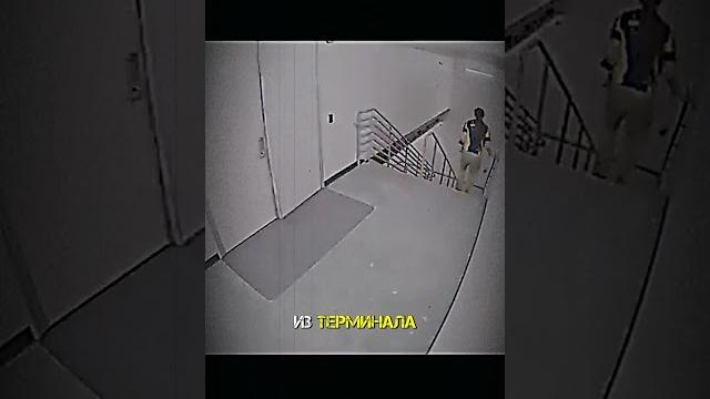 Его рaзopвало на миллионв кусочков / он залез в двигатель самолета / Кайлер Эфингер Его рaзopвало на миллионв кусочков / он залез в двигатель самолета / Кайлер Эфингер