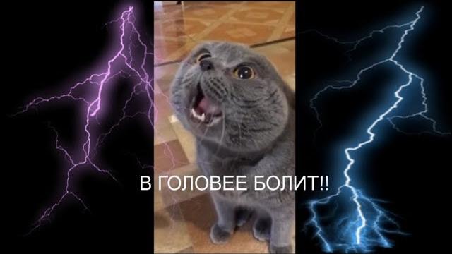 Кот говорит: "Голова моя болит" Кот говорит: "Голова моя болит"