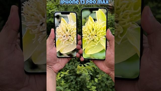 Iphone 13 pro vs Iphone 13 pro max Camera Test #shorts Iphone 13 pro vs Iphone 13 pro max Camera Test #shorts