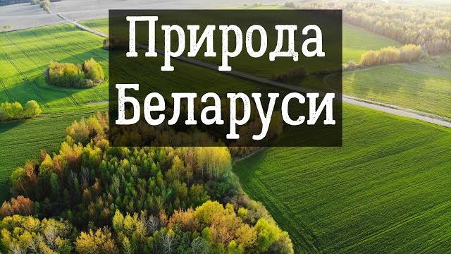 Природа Беларуси с высоты птичьего полёта Природа Беларуси с высоты птичьего полёта