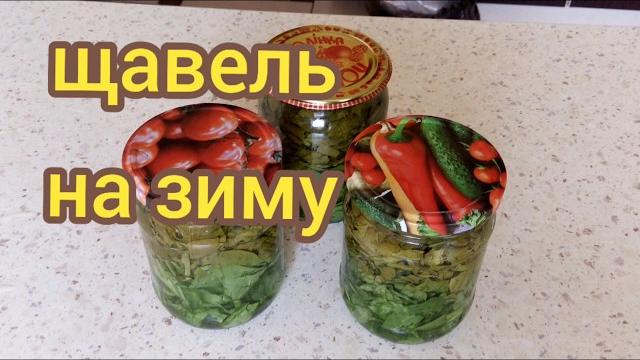 Как заготовить щавель на зиму. Простой рецепт. Как заготовить щавель на зиму. Простой рецепт.