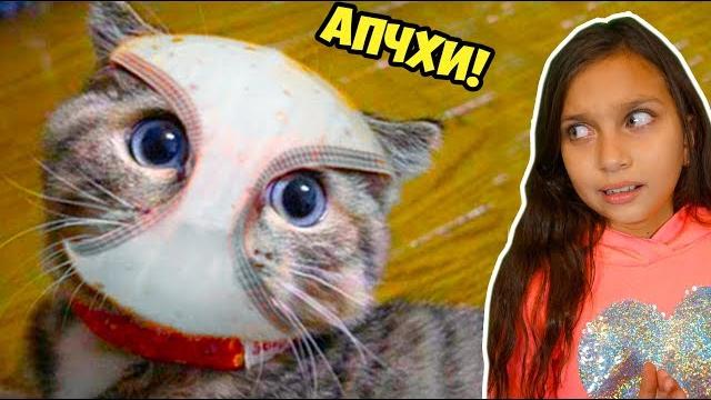 КОТЫ НА КАРАНТИНЕ! Смешные КОТЫ и СОБАКИ! НЕ ЗАСМЕЙСЯ ЧЕЛЛЕНДЖ! Funny Cats Не смеяться Валеришка КОТЫ НА КАРАНТИНЕ! Смешные КОТЫ и СОБАКИ! НЕ ЗАСМЕЙСЯ ЧЕЛЛЕНДЖ! Funny Cats Не смеяться Валеришка