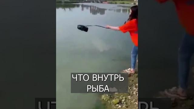 Китайцы ловят рыбу в ХИТРУЮ ловушку #шортс #рыбалка Китайцы ловят рыбу в ХИТРУЮ ловушку #шортс #рыбалка