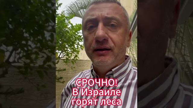 СРОЧНО! Лесные пожары в Израиле СРОЧНО! Лесные пожары в Израиле