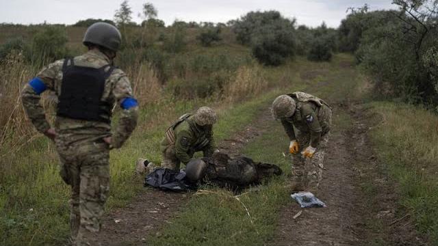 Тела украинских и российских солдат к северу от Харькова Тела украинских и российских солдат к северу от Харькова