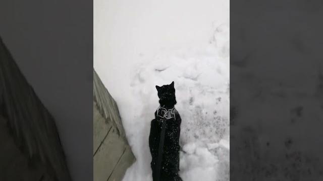 как у вас погода? как у вас погода?