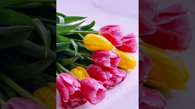 С днем 8 Марта! С днем 8 Марта!