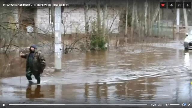 потоп в белоострове потоп в белоострове