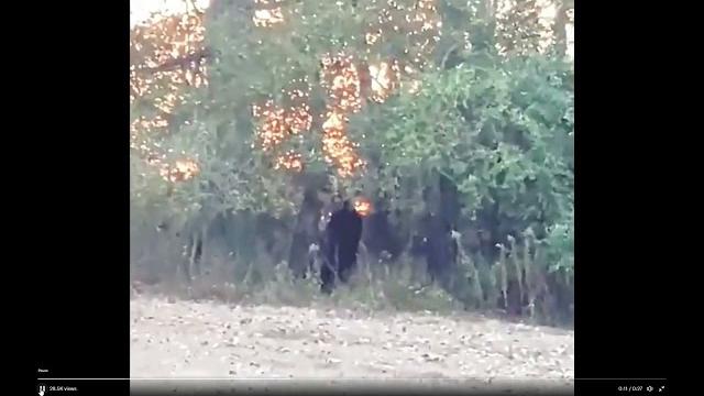 ⭐ РЕАЛЬНОЕ ВИДЕО СНЕЖНОГО ЧЕЛОВЕКА ⭐ РЕАЛЬНОЕ ВИДЕО СНЕЖНОГО ЧЕЛОВЕКА