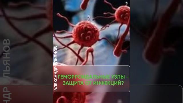 Роль геморроя в иммунитете. #доктор #проктолог #геморройлечение #геморрой #shorts #врач #проктология Роль геморроя в иммунитете. #доктор #проктолог #геморройлечение #геморрой #shorts #врач #проктология