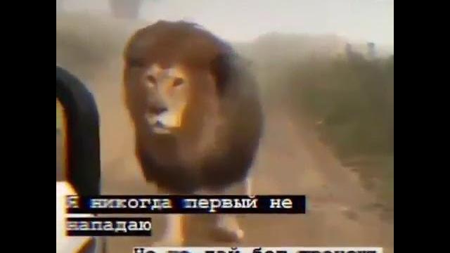 Нашид лиякун Нашид лиякун