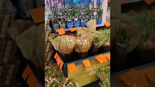 pov: что за праздник¿ #shorts #8марта pov: что за праздник¿ #shorts #8марта