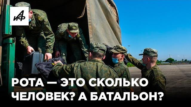 Сколько человек в роте, дивизии и батальоне? Объясняем в графике Сколько человек в роте, дивизии и батальоне? Объясняем в графике