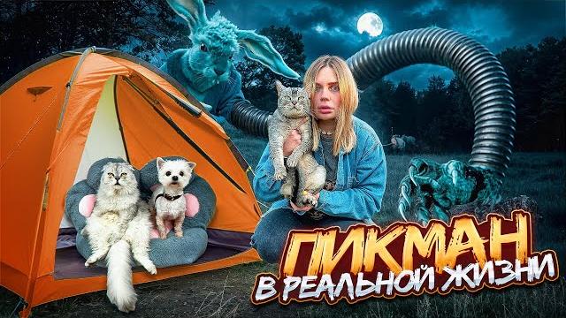 ПИКМЕН В РЕАЛЬНОЙ ЖИЗНИ | НОЧЬ В ПАЛАТКЕ С КОТАМИ ПИКМЕН В РЕАЛЬНОЙ ЖИЗНИ | НОЧЬ В ПАЛАТКЕ С КОТАМИ