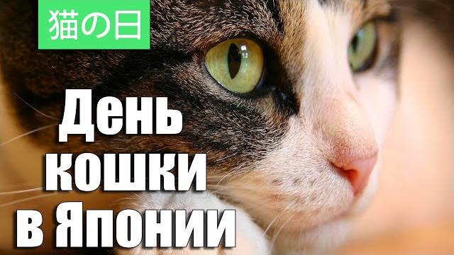 День Кошки в Японии | Cat Day in Japan | 猫の日 День Кошки в Японии | Cat Day in Japan | 猫の日