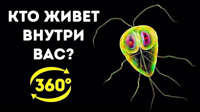 Тайная Жизнь Бактерий в Вашем Организме || 360 VR Тайная Жизнь Бактерий в Вашем Организме || 360 VR