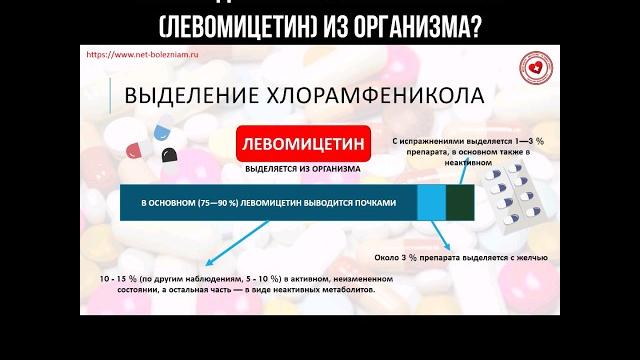 Как выделяется хлорамфеникол (Левомицетин) из организма? #хлорамфеникол #левомицетин #антибиотик Как выделяется хлорамфеникол (Левомицетин) из организма? #хлорамфеникол #левомицетин #антибиотик