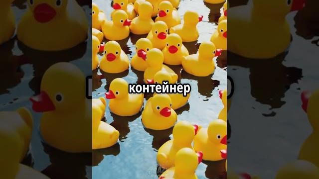 ТОП-5 НЕОБЪЯСНИМЫХ НАУКОЙ ФАКТОВ #факты #adme #facts #шортс #наука #интересныефакты #факт #новости ТОП-5 НЕОБЪЯСНИМЫХ НАУКОЙ ФАКТОВ #факты #adme #facts #шортс #наука #интересныефакты #факт #новости